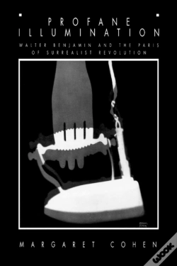 Capa do artigo Profane Illumination
