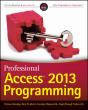 Professional Access 2013 Programming - Preview