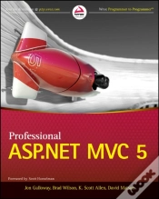 Capa do artigo Professional Asp.Net Mvc 5