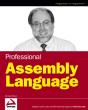 Professional Assembly Language - Preview