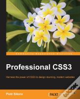 Professional Css3