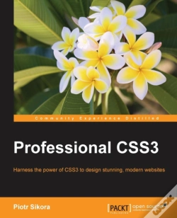 Capa do artigo Professional Css3
