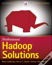 Capa do artigo Professional Hadoop Solutions