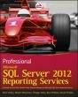 Professional Microsoft Sql Server 2012 Reporting Services - Preview