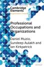Professional Occupations And Organizations - Preview