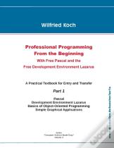 Professional Programming From The Beginning