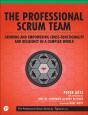 Professional Scrum Team, The - Preview