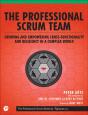 Professional Scrum Team, The - Preview