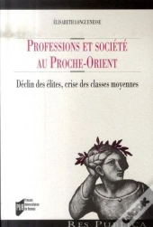 Professions Et Société Au Proche-Orient ; Déclin Des Élites, Crise Des Classes Moyennes