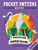Professor Dumbledore
