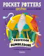 Professor Dumbledore (Pocket Potters 4) - Preview