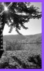 Profugorum - Preview