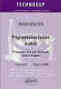 Programmation Linéaire Avancée. Programmes Java Pour Macintosh, Linux Et Windows - Niveau C - Preview