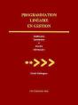 Programmation Linéaire En Gestion : Modélisation, Optimisation Et Solution Informatique - Preview