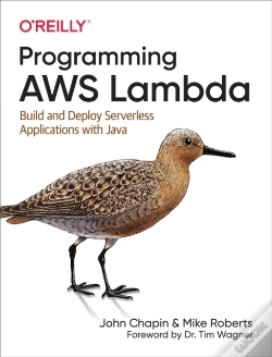 Capa do artigo Programming Aws Lambda