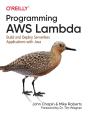 Programming Aws Lambda - Preview