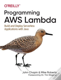 Capa do artigo Programming Aws Lambda