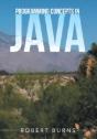 Programming Concepts In Java - Preview