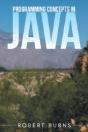 Programming Concepts In Java - Preview
