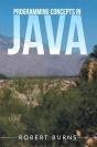 Programming Concepts In Java - Preview