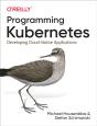 Programming Kubernetes - Preview
