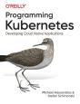 Programming Kubernetes - Preview