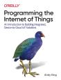 Programming The Internet Of Things - Preview