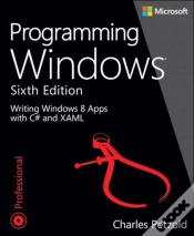 Capa do artigo Programming Windows