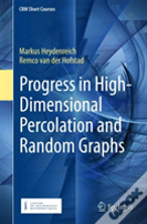 Progress In High-Dimensional Percolation And Random Graphs