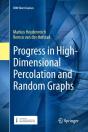 Progress In High-Dimensional Percolation And Random Graphs - Preview