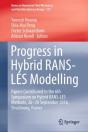 Progress In Hybrid Rans-Les Modelling - Preview