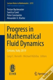 Capa do artigo Progress In Mathematical Fluid Dynamics