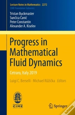 Capa do artigo Progress In Mathematical Fluid Dynamics
