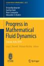 Progress In Mathematical Fluid Dynamics - Preview