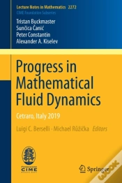 Capa do artigo Progress In Mathematical Fluid Dynamics