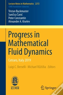 Capa do artigo Progress In Mathematical Fluid Dynamics