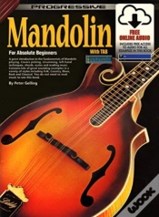 Capa do artigo Progressive Mandolin