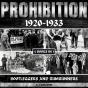 Prohibition 1920-1933 - Preview