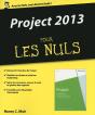 Project 2013 Pour Les Nuls - Preview