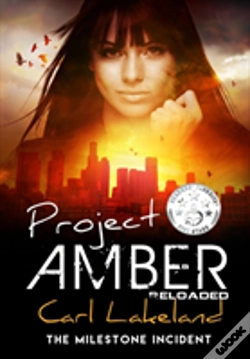 Capa do artigo Project Amber
