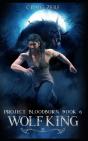 Project Bloodborn - Book 6 - Preview