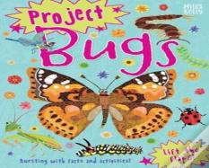 Project Bugs