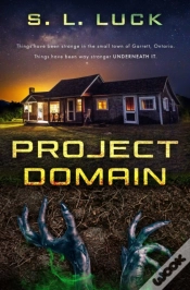 Capa do artigo Project Domain