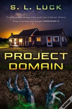 Capa do artigo Project Domain
