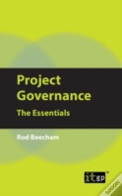 Capa do artigo Project Governance