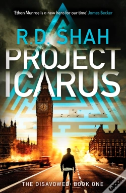 Capa do artigo Project Icarus