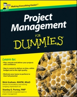 Capa do artigo Project Management For Dummies, Uk Edition