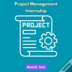 Capa do artigo Project Management Internship