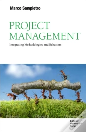 Capa do artigo Project Management