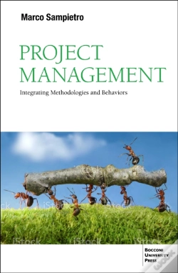 Capa do artigo Project Management